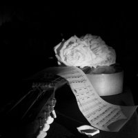 гитара и розы :: Елена Агеева