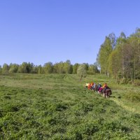 В путь по утру :: Сергей Цветков