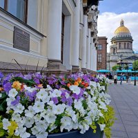 Санкт-Петербург нарядный. :: Лия ☼