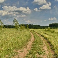 Ветер :: Роман Пацкевич