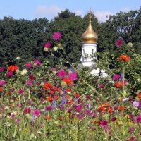 ВДНХ 19 июня :: Михаил Бибичков