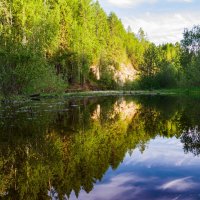 Скалы реки Доманик, окрестности Ухты. Республика Коми :: Николай Зиновьев