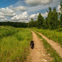 По дороге с облаками .... 3 :: Андрей Дворников