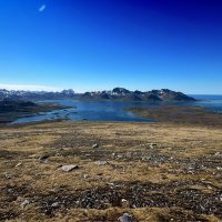 Ein Sommer im Nordpolarmeer / Norwegen / :: "The Natural World" Александер