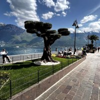 Италия SüdTirol Gärten von Schloss Trauttmansdorf in Meran Übersich. :: "The Natural World" Александер