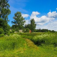 Лето - июнь (репортаж из поездок по области). :: Милешкин Владимир Алексеевич 