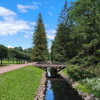 В Екатерининском парке. :: Ольга 