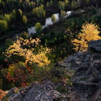 В последних солнечных лучах. :: Юрий кот