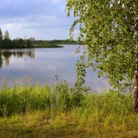 Летний вечер у озера :: Нэля Лысенко