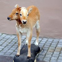 Двухголовый телёнок у входа в Музей аномалий тела в Санкт-Петербурге. :: Валерий Новиков