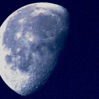 Голубая луна. :: barsuk lesnoi