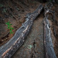 две непараллельные да ещё и непрямые быстро пересекаются ) :: Александр Иванов