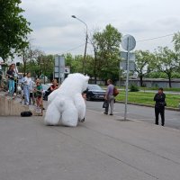 Мальчик знакомится с медведем. :: Лия ☼