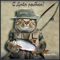 Поздравляю рыбаков! :: Ольга Довженко