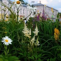 Сад "Свита играет" в рамках фестиваля "Лето в Москве. :: Татьяна Помогалова