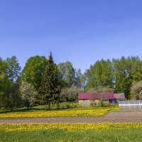 Дачная зарисовка :: Сергей Цветков