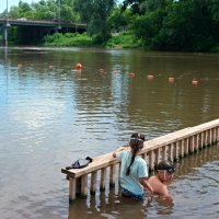 Увидеть рыбок в мутной воде... :: Андрей Заломленков