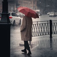 Стильный дождь :: Григорий Иванов