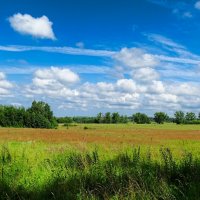 Лето - июль (репортаж из поездок по области). :: Милешкин Владимир Алексеевич 