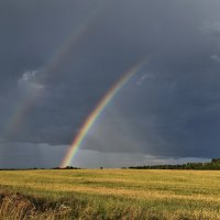 После дождя :: Людмила Смородинская