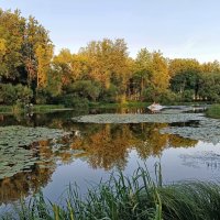 На заходе солнца... :: Мария Васильева