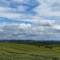 Поле. :: Радмир Арсеньев