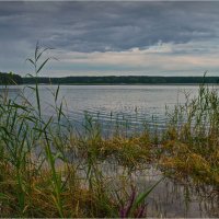 "У озера"© :: Владимир Макаров