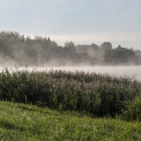 Туманное утро 22.07.2024 :: Анатолий Клепешнёв