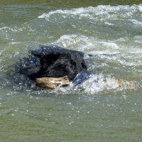 Где то предки согрешили с водолазом... :: Татьяна Титова