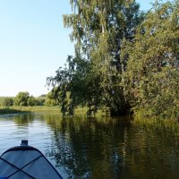 Водная прогулка :: Андрей Зайцев