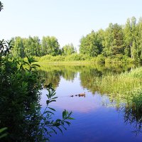 В заливе р.Кама :: Александр Щеклеин