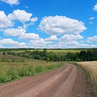 По дороге в август.. :: Андрей Заломленков