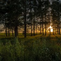 На закате. :: Андрей Андрианов