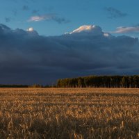 Перед грозой. :: Андрей Андрианов