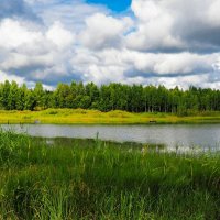 В последний месяц лета. :: Милешкин Владимир Алексеевич 