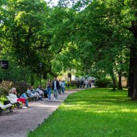 НАРОДНАЯ_ТРОПА_ДВОРЦОВАЯ :: Сергей Янович Микк