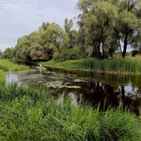 По речным тропинкам :: Геннадий Худолеев Худолеев