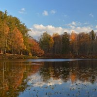 В вечернем свете.... :: Юрий Цыплятников