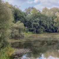 Парк Покровское-Стрешнево :: Денис Масленников