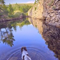 Водная гладь озера :: Георгиевич 