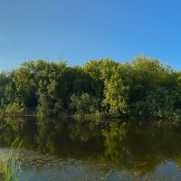 Панорама озера в лугах :: Александр Синдерёв