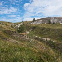 Дно древнего моря :: Инна Драбкина