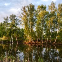 *** :: Владимир Безбородов