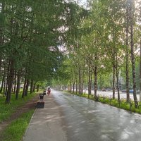 Утро в городе :: Виктор 