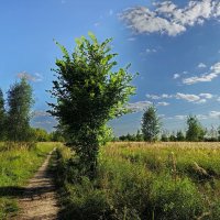 Вот, моя деревня и неизвестный мне режим съемки :: Андрей Лукьянов