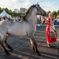 Фестиваль "Конное достояние" (3) :: Владимир Безбородов