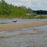 В гордом одиночестве.... :: Алекс Б-в