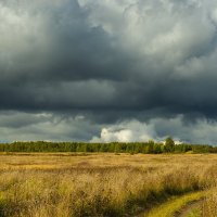 *** :: Андрей Андрианов