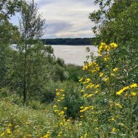 По тропинке вдоль Невы... :: Мария Васильева