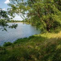 В гусином царстве... :: Николай Гирш